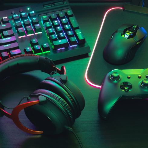 Gaming LUDO, Fastwin